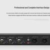 Professional Digital Audio Processor with Automatic Feedback Suppression (CN version)