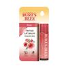 Burt's Bees Tinted Lip Balm 6 Colors, Korean Cosmetics