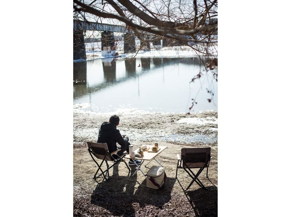 Snow Peak Chair Low Chair 30 Short Gray Folding Camping Outdoor LV-093GY