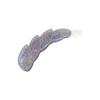 10cm Ponytail Clip Acrylic Grip Clips New Banana Hair Clips  The Back of The Head