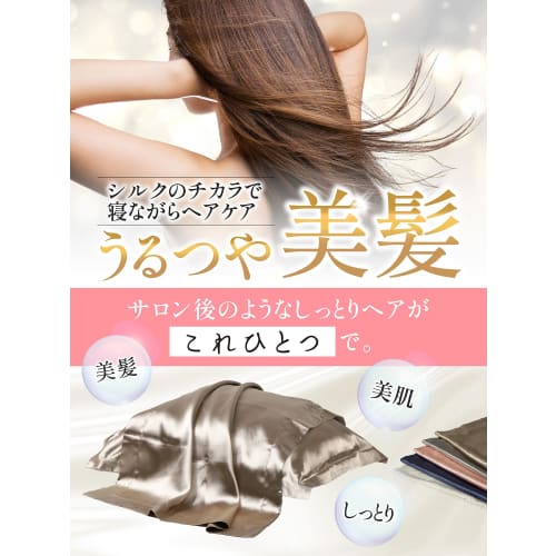 [Supervised by Haircare Professionals] SEAWIND Silk Pillowcase [As Seen on TV] Washable Pillowcase, Double-Sided 90% Silk, 19 Momme, Beautiful Skin, B