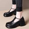 6Cm Shallow Mouth Thick Sole Waterproof Table Small Leather Shoes Women's 2025 New Autumn Soft Leather Thick Heel Mary Jane Shoes Single Shoes