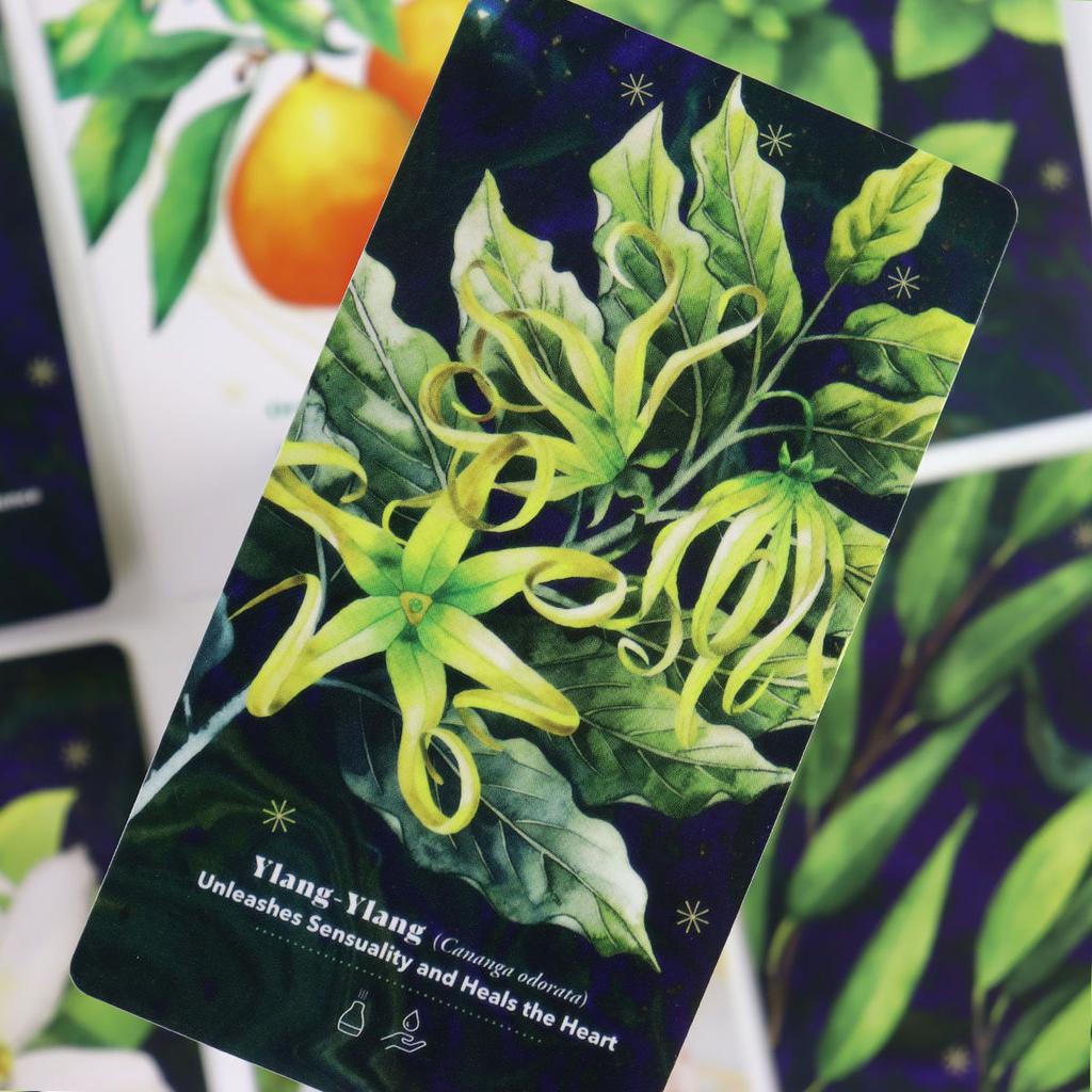 The Essential Oils Healing Deck 52 Cards To Enhance Body, Mind & Spirit 11*6cm