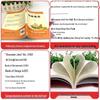Zhu Ziqing's Classic Talks: Grade 8 Reading Edition