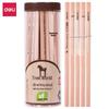 Deli S907 Деревянные шестигранные карандаши 2B