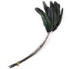 10Pcs Multicolor Rooster Feather Natural Feather Clothing Accessories Feathers  Headwear Accessories