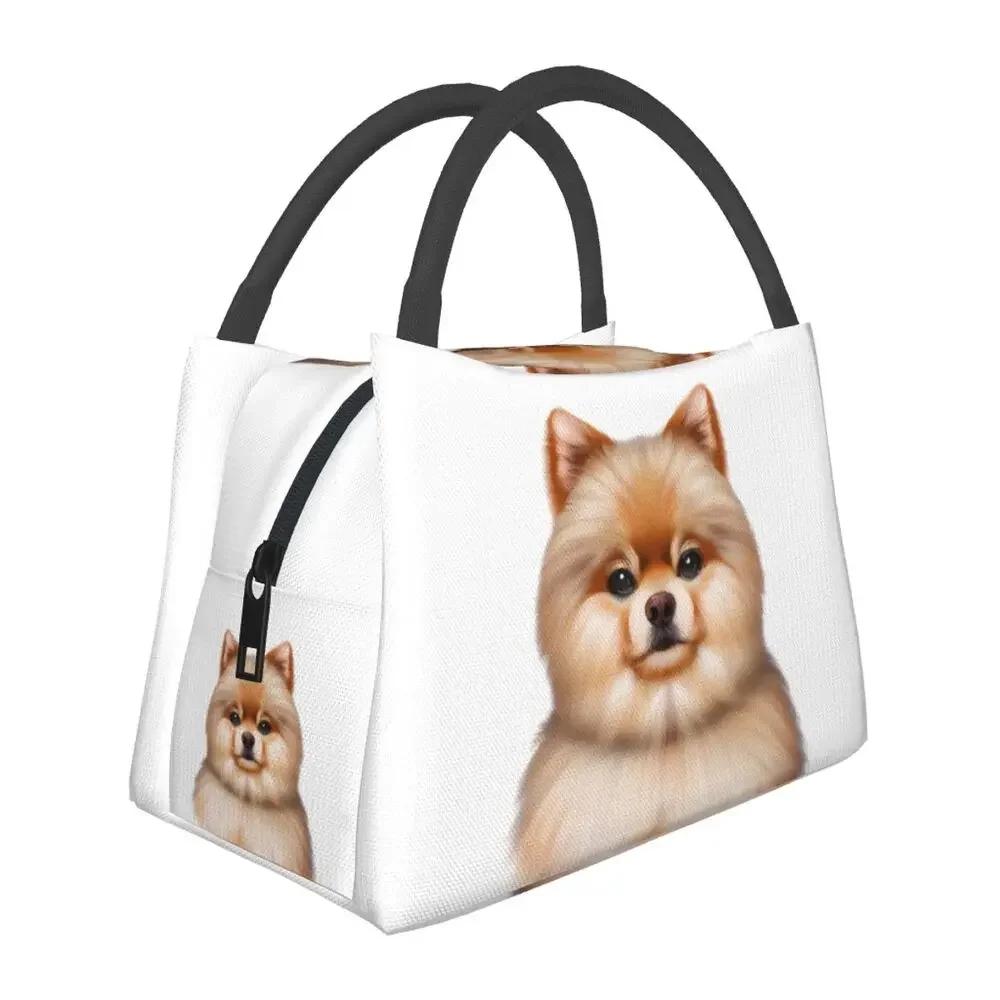 Милые сумки для ланча с рисунком померанского шпица, изолированные коробки для ланча Bento, сумки для пикника, термосумки-холодильники для женщин, детей, школ