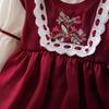 Платье для девочек Осеннее Платье принцессы для девочек Детское платье с кружевом и длинным рукавом