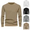 Men's Autumn/Winter Heavyweight Jacquard Checkered Crew Neck Long-Sleeved Sweater