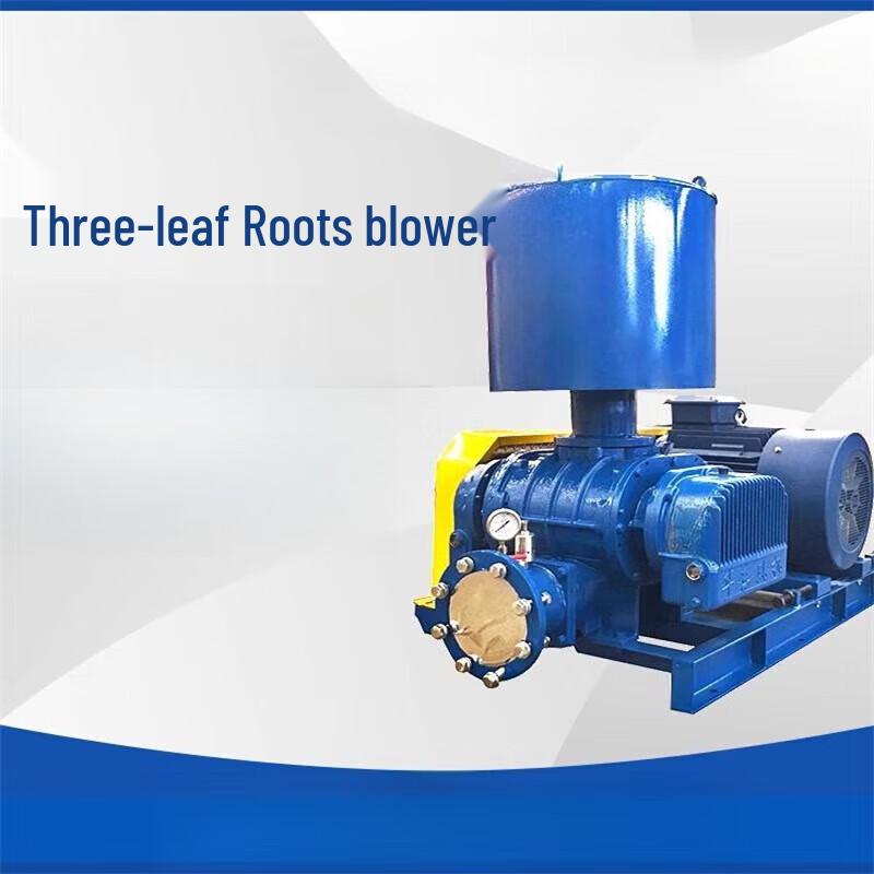 Erbeli BJSS-50 Industrial Roots Blower CN plug (adapter included)