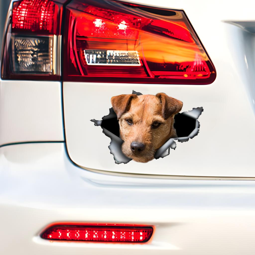 Patterdale Terrier Car Stickers Funny Waterproof Vinyl Decal Motorcycle Decorative Accessories, Used for Car, Motorcycle, Laptop, Van