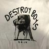Винтажная футболка Destroy Boys Band с коротким рукавом, все размеры S-5XL OB1035, унисекс