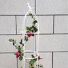 Rose Tomato Balcony Gardening Support Rod Planting Rack Climbing Vine Rack Flower Pot Holder