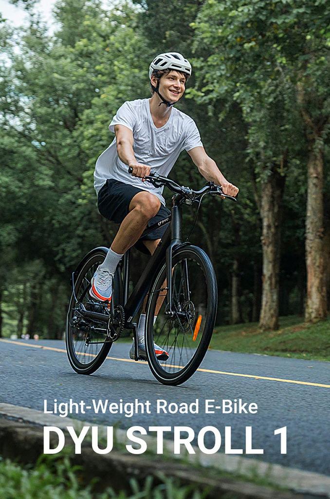 DYU Stroll 1 Electric Bike, 250W Motor, 36V 9Ah Battery, 700*38C CST Tire, 25km/h Max Speed, 100km Range