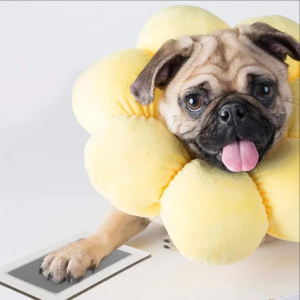 Baby Care Non-Toxic Baby Handprint Footprint Imprint Kit Baby Souvenirs Newborn Footprint Ink Pad for Newborn Baby Gifts