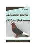 Книга Archangel Pigeon : Pet Bird Guide