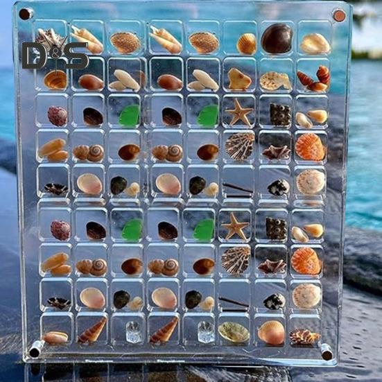 Acrylic Magnetic Seashell Display Box 36/64/100 Grids Square Small Crafts Natural Stone Nail Art Bead Charm Jewelry Show Organizer Container Case
