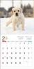 Календарь 2024 Лабрадор Ретривер (Календарь Seibundo Shinkosha)
