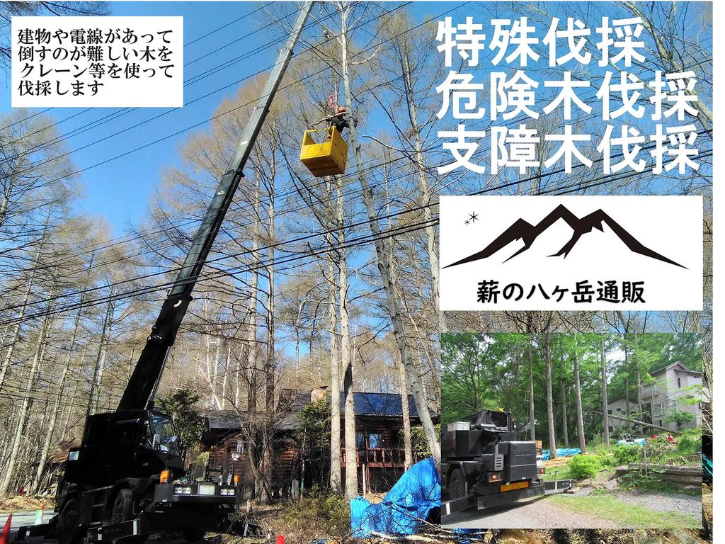 No36 Solo Camping Hardwood Firewood and Softwood Firewood 2-piece Set (includes Kindling) Length Approx. 17cm Home Delivery 80 Size Compact Size