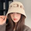 Женская осенне-зимняя новая шляпа-ведро с надписью, теплая зимняя шапка, подчеркивающая маленькое лицо, толстая вязаная шерстяная шапка