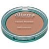 Германия Rothmann Alterra Alterra Finish Powder 02 Medium 9g