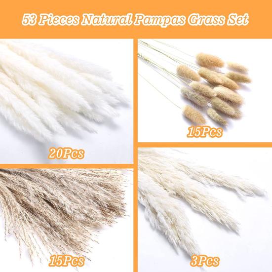 Красивая сухая тростниковая трава, не засохшая, изысканное декоративное мастерство