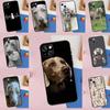 Чехол для мобильного телефона Apple iPhone15, чехол для мобильного телефона Weimar Dog, окрашенный чехол с защитой от падений, чехол для мобильного телефона Huawei с защитой от падений.