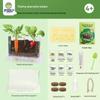 Sunroom Kids' Planting Kit: Potted Plant Science Experiment & DIY Toy