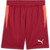 Puma Shorts Individual Training