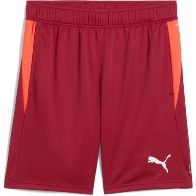 Puma Шорты Individual Training