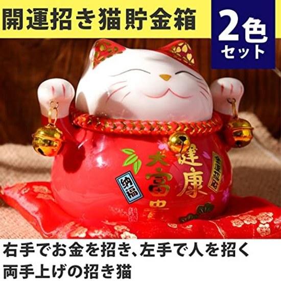 Felimoa Lucky Cat Coin Bank Feng Shui Interior Decoration Money Luck Enhancement Cushion Included 2 Color Set (Red Blue)