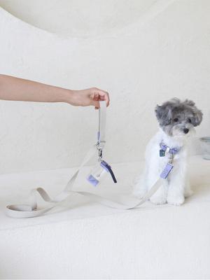 Собаки – Ошейники и поводки для собак