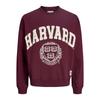 Jack & Jones Толстовка Harvard Styd