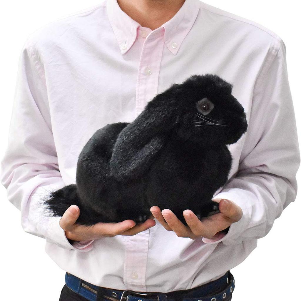 BH8142 HANSA Holland Lop Черный 33