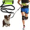 Sport Waist Bag Dog Walking Leash Outdoor Dog Walking Reflective Telescopic Leash Dog Explosion-proof Running Leash Pet Supplies