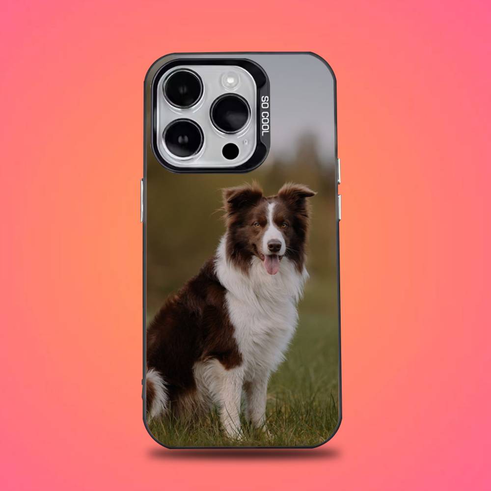Border Collie Dog Phone Case For iPhone 16,15,14,13,12,11,Pro,Max,Plus,Mini,XS,SE Anti Fall Black Matte Hard Bumper
