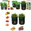 Versatile And Sturdy 10 Gallon Reusable Bags For Growing Fresh Produce Anywhere