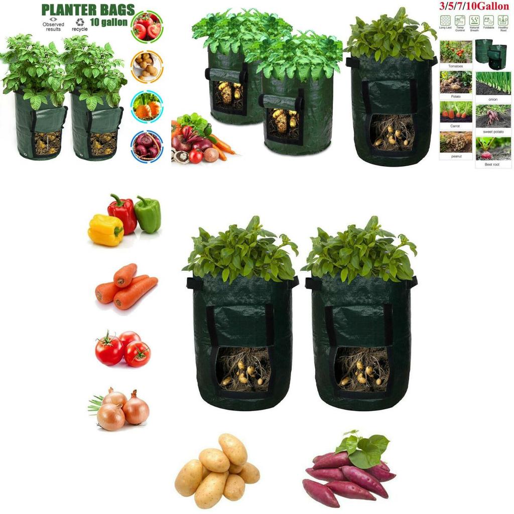 Versatile And Sturdy 10 Gallon Reusable Bags For Growing Fresh Produce Anywhere