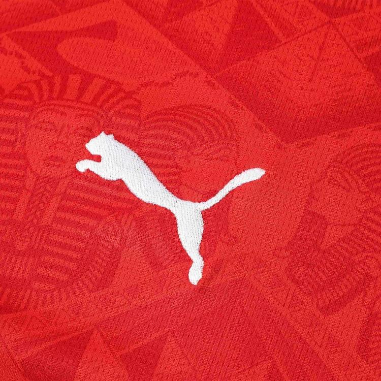 PUMA Egyptian National Team Soccer Jersey Fan Edition Men's Red 777132-01