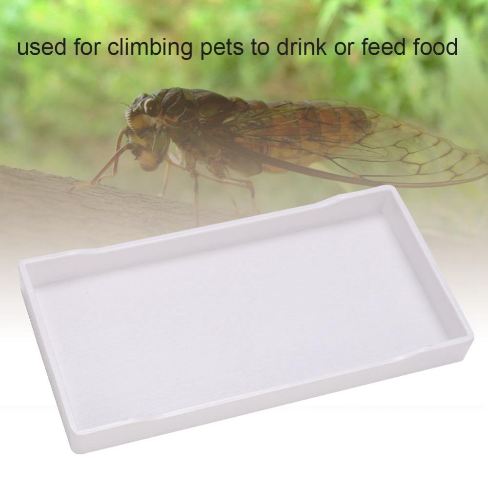 Square Shape Pet Food Dish Plastic Climbing Pet Bowl Reptile Feeder Dish Reptile Enclosure