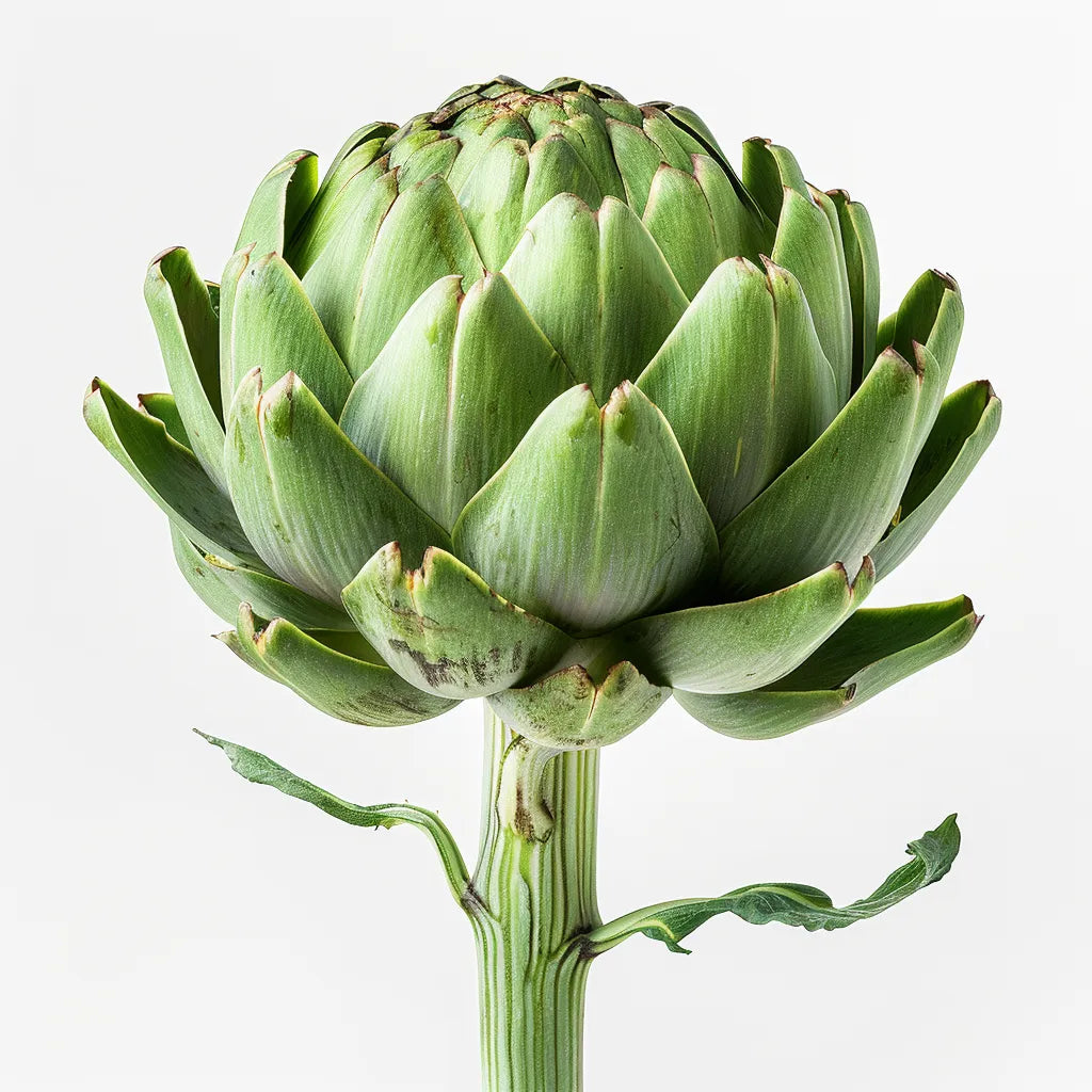 25 семян артишока