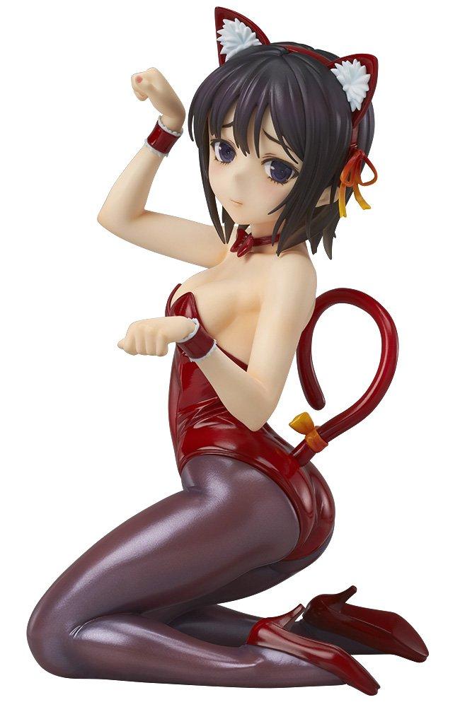 Haganai NEXT Микадзуки Йозора Костюм Кошки Вер. (Готовое изделие из окрашенного ПВХ в масштабе 17)