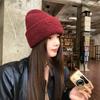 Wool blended thickened wool hat women's autumn and winter new letters big head circumference knitted hat warm ear protector cold hat