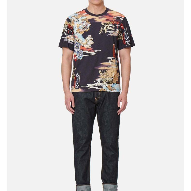 Evisu Футболки мужские разноцветные с круглым вырезом умеренного прямого кроя 2ESHTM2TS501XXCT