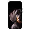 Чехол для iPhone 17 16 15 Xiaomi Poco Redmi Note 14 13 12 11 Pro Max 9 16e Samsung Galaxy S25 S24 S23 14C A56 OPPO Huawei Чехол для телефона с таксой