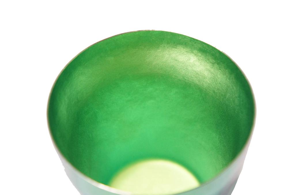 HORIE Градиентный титановый двойной стакан Rei Hana Титан 250 мл Мори MORI Зеленый T15KM250G18 T15KM250G18