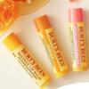 Увлажняющий бальзам для губ Burt S BeeS, выбери 1, дикая вишня