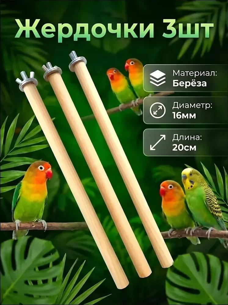 Дерево для попугаев — Жердочка и аксессуар