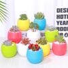 Mini Resin Stone Ball Flower Pot Multiple Colors Automatic Water Storage for Succulent Fleshy Potted Plants Home Garden Supplies