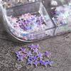 1 Box Nail Sequins Sufficient Quantity Non-Irritation Shiny Visual Effect Sparkling Light Reflective Attractive Mixed DIY Nail Glitters Star